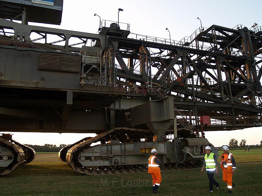 Bagger auf Reisen P239.JPG